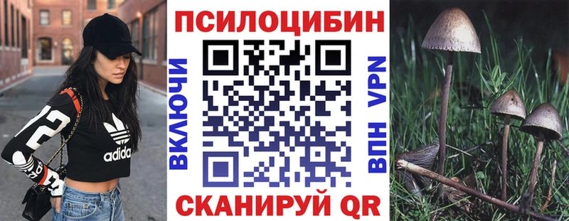 Псилоцибиновые грибы Psilocybine cubensis  Купить  Нея 