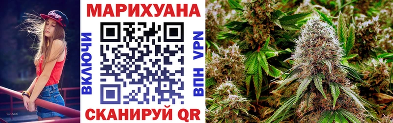 Бошки Шишки план  Купить где  Нея 
